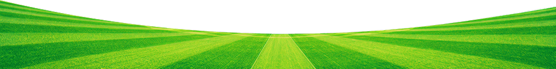 Grassland